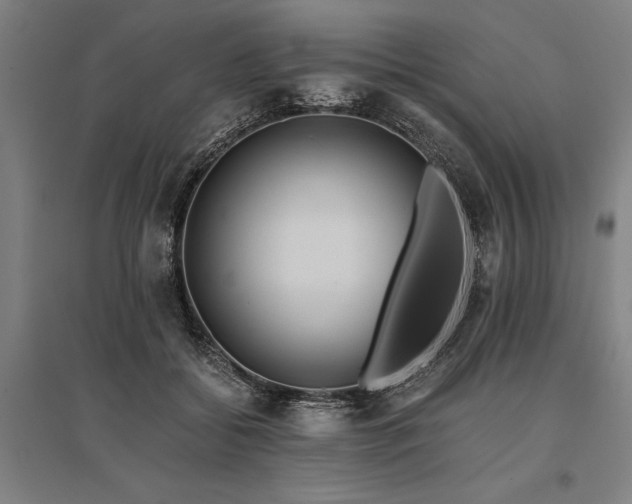 X0000096180556200801181314
