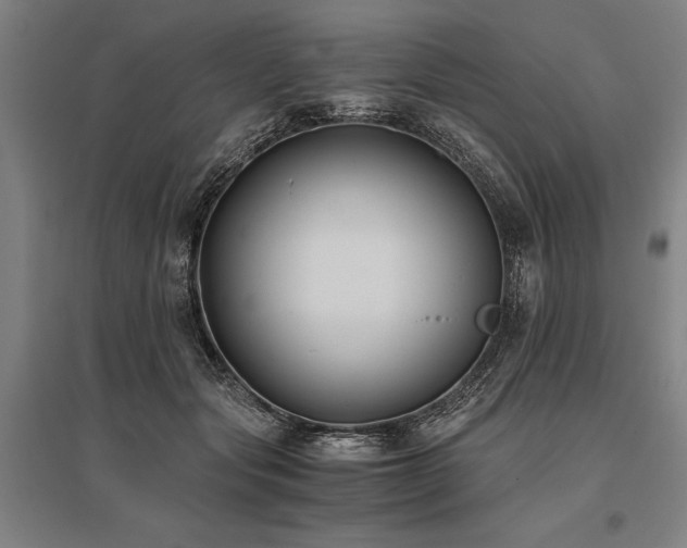 X0000096180557200801181314