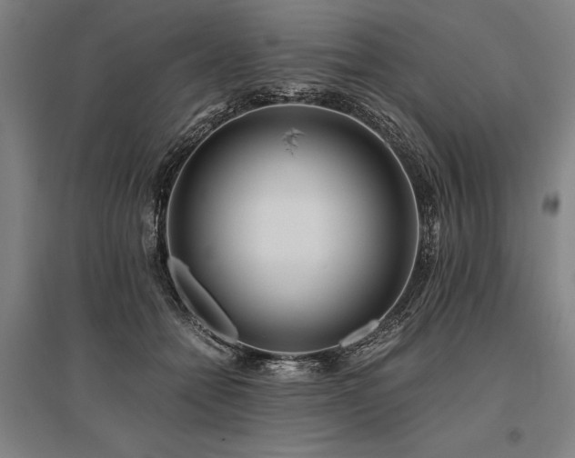 X0000096180558200801181314