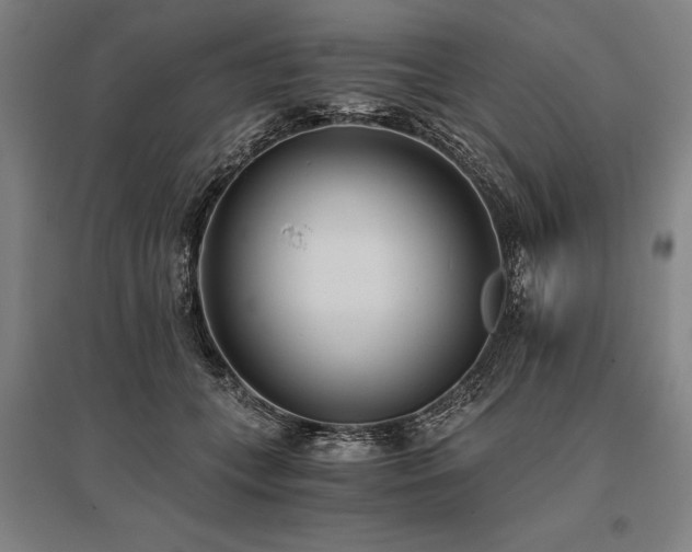 X0000096180559200801181315