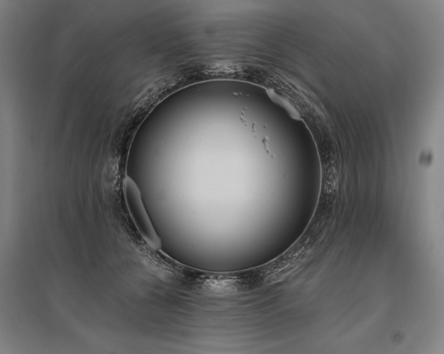 X0000096180560200801181315