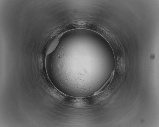 X0000096180562200801181315
