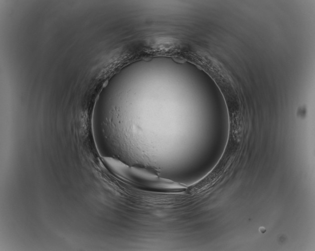X0000096180563200801181315