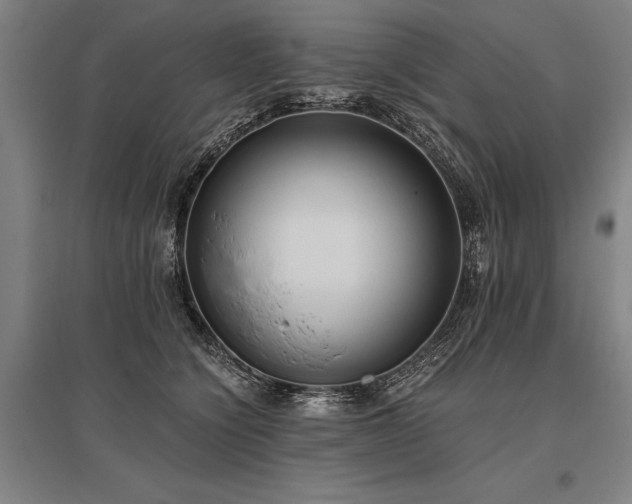 X0000096180564200801181315