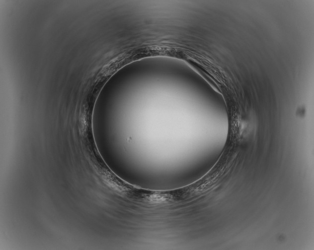 X0000096180566200801181315