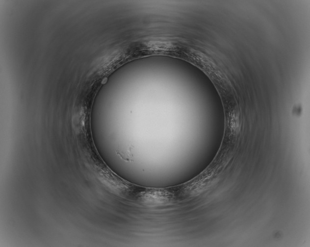 X0000096180567200801181315