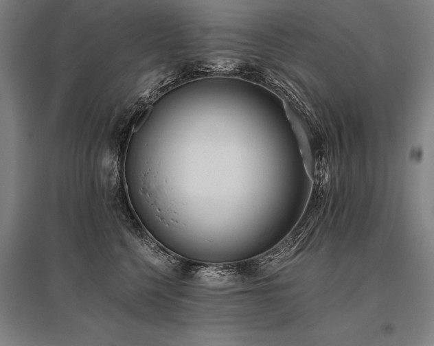 X0000096180568200801181315