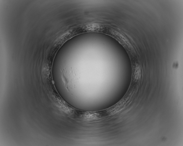 X0000096180569200801181315