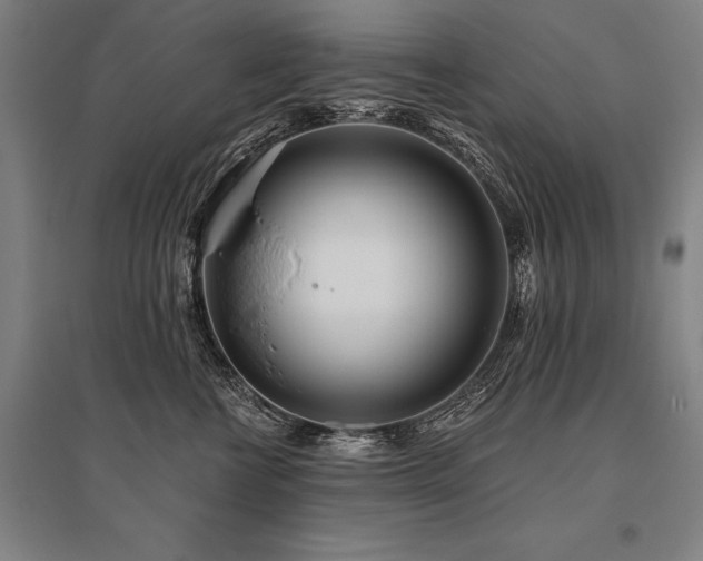 X0000096180570200801181315