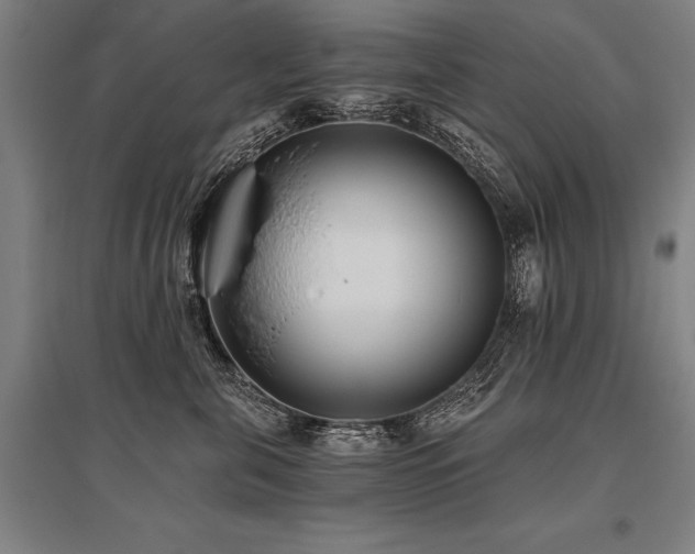 X0000096180571200801181315