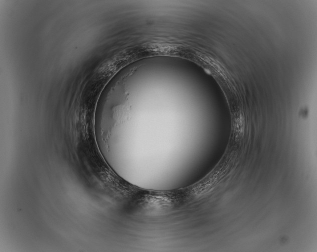 X0000096180572200801181315