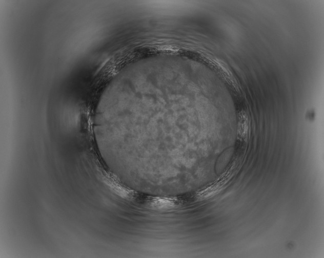 X0000096180573200801181315