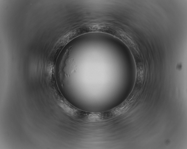 X0000096180574200801181315