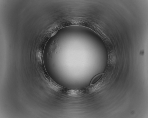 X0000096180575200801181315