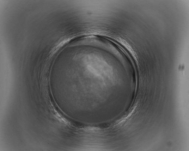 X0000096180577200801181314