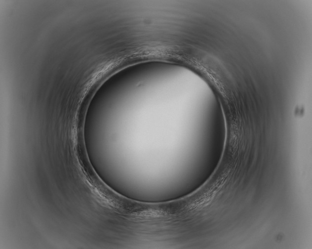 X0000096180578200801181314