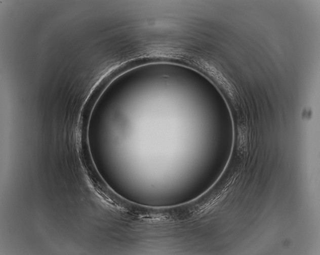 X0000096180580200801181314