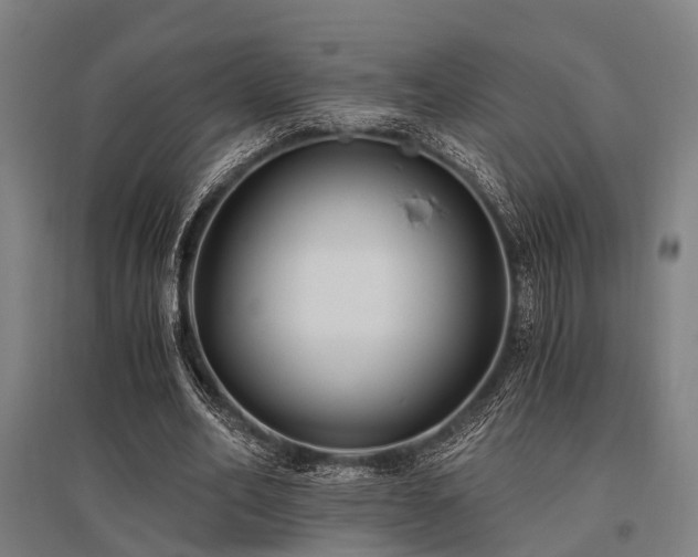 X0000096180582200801181314