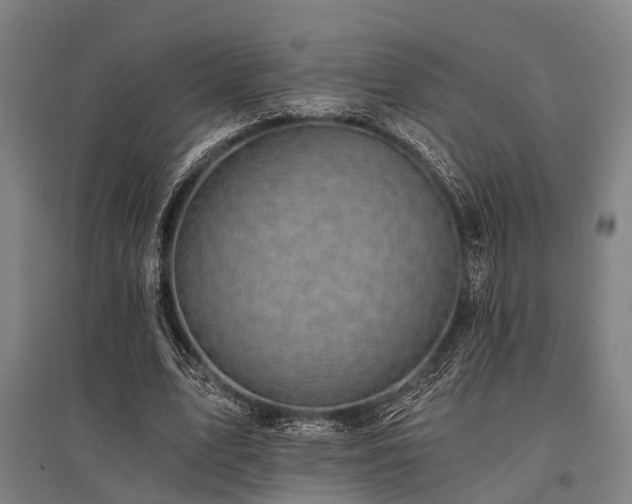 X0000096180583200801181314