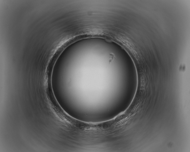 X0000096180584200801181314