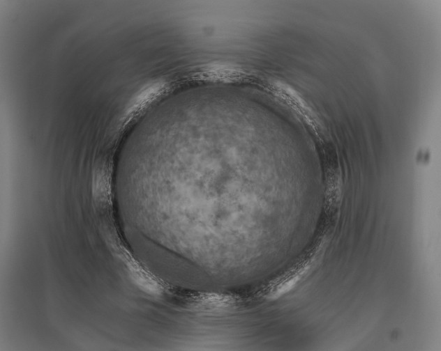 X0000096180585200801181314