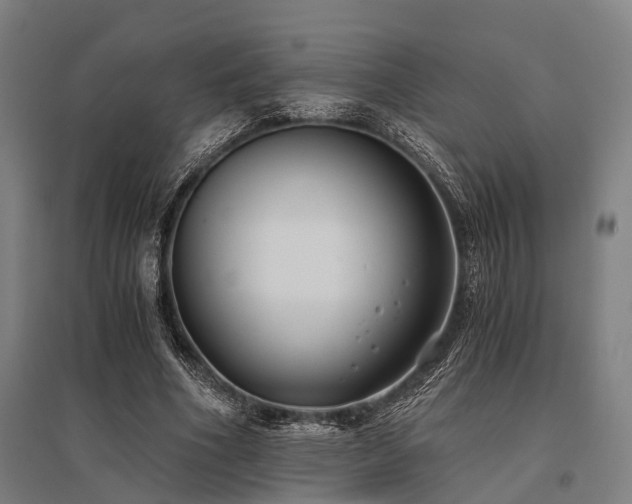 X0000096180586200801181314