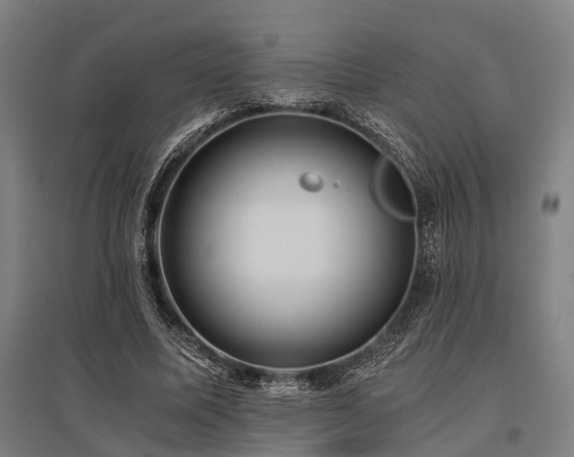 X0000096180587200801181314