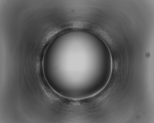 X0000096180588200801181314