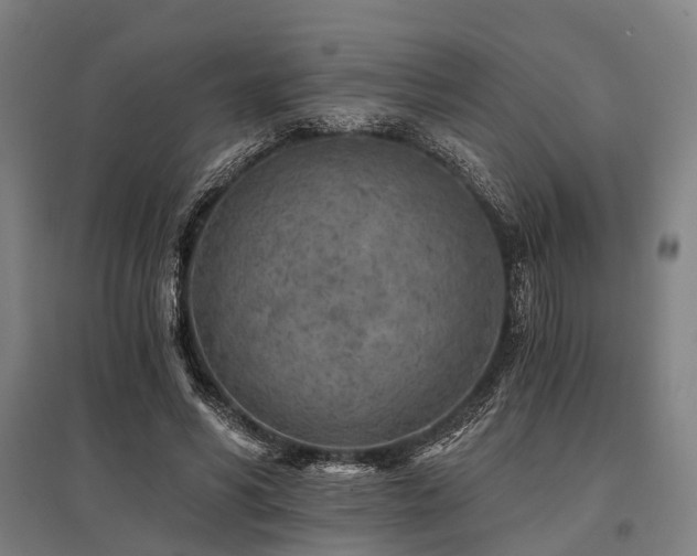 X0000096180590200801181314
