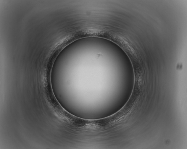 X0000096180591200801181314