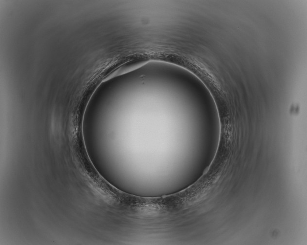 X0000096180593200801181314