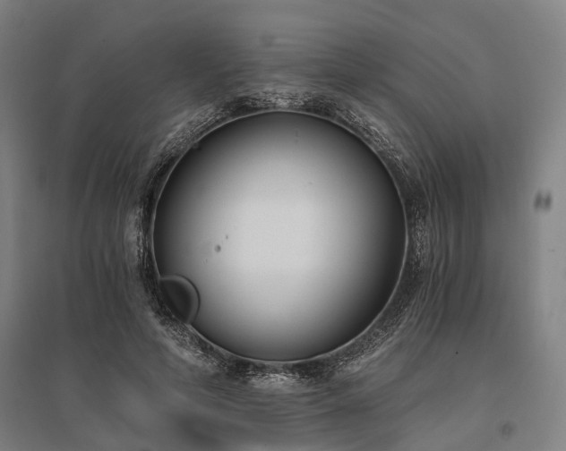 X0000096180594200801181314