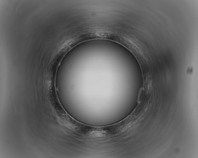 X0000096180595200801181314