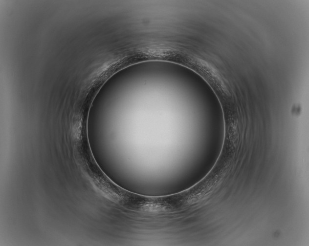 X0000096180596200801181314
