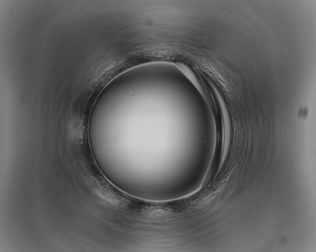 X0000096180597200801181314