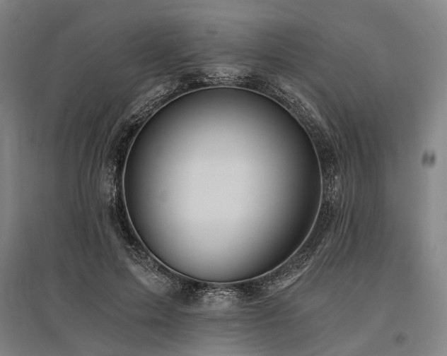 X0000096180599200801181314