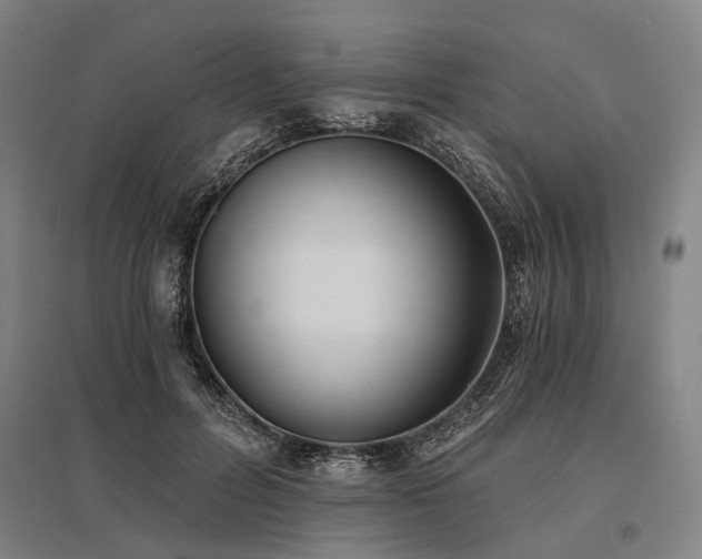 X0000096180600200801181314