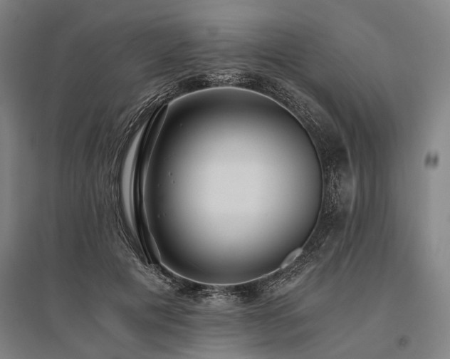 X0000096180601200801181314