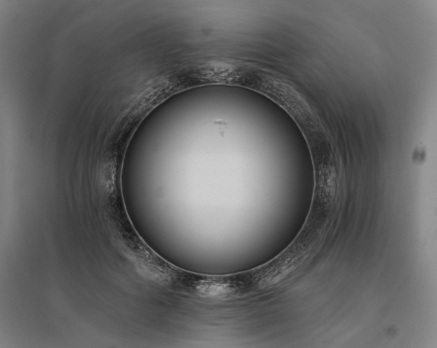 X0000096180602200801181314