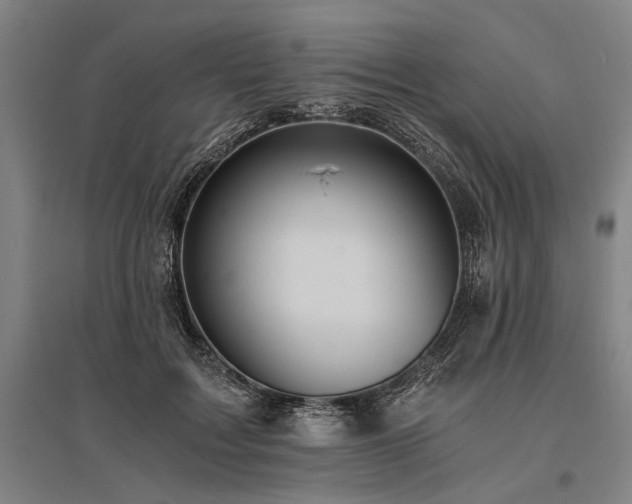 X0000096180603200801181314