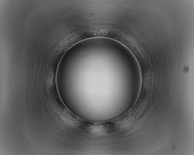 X0000096180604200801181314