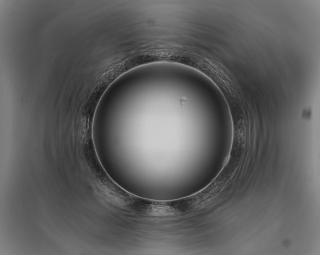 X0000096180605200801181314