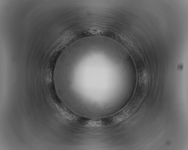 X0000096180606200801181314