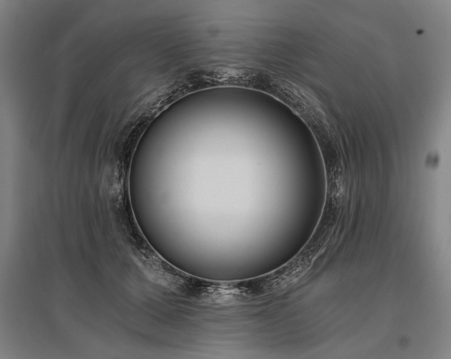 X0000096180607200801181314
