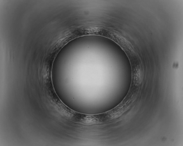 X0000096180608200801181314