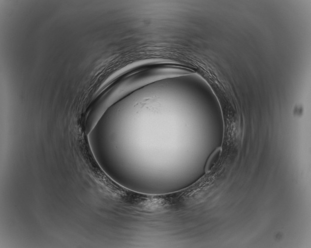 X0000096180609200801181314