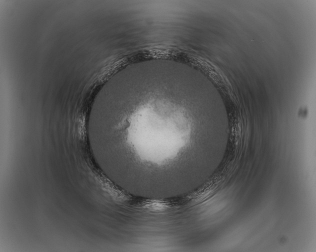 X0000096180610200801181314