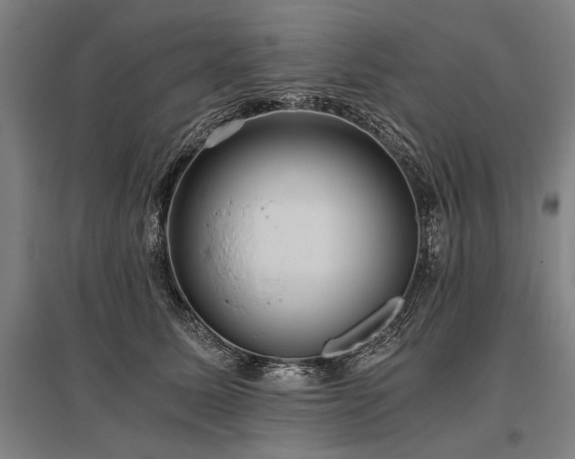 X0000096180611200801181314