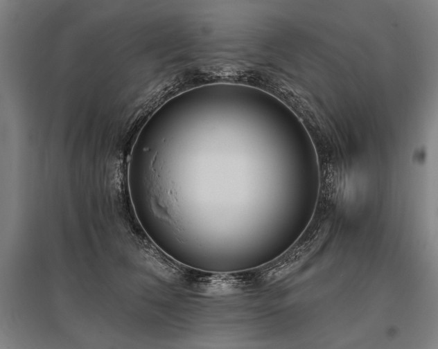 X0000096180612200801181314