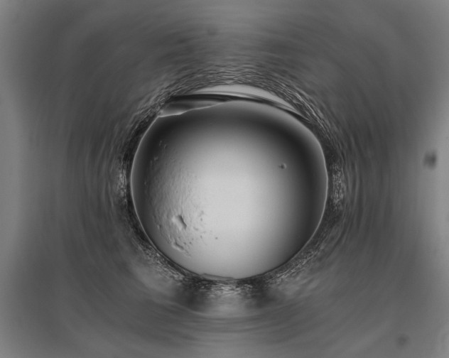 X0000096180613200801181314